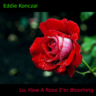 Michael Praetorius (1571-1621)